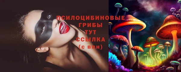 шишки Вяземский