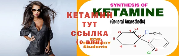 шишки Вяземский