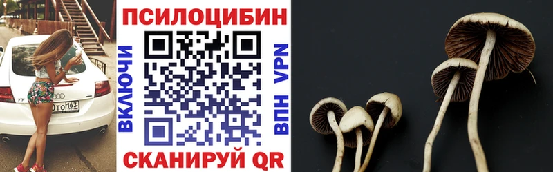 Купить Шарья Галлюциногенные грибы MAGIC MUSHROOMS